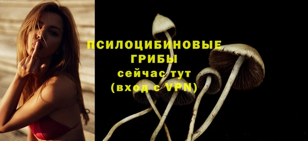 ECSTASY Остров