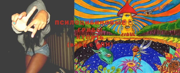 дурь Осинники