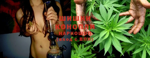 дурь Осинники