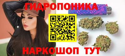 гидра Кимры