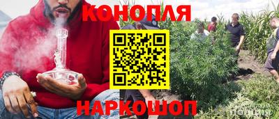 гидра Кимры