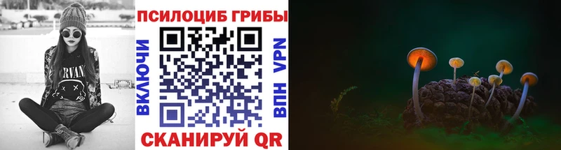 ОМГ ОМГ зеркало  Пятигорск  Галлюциногенные грибы прущие грибы  цены наркотик 