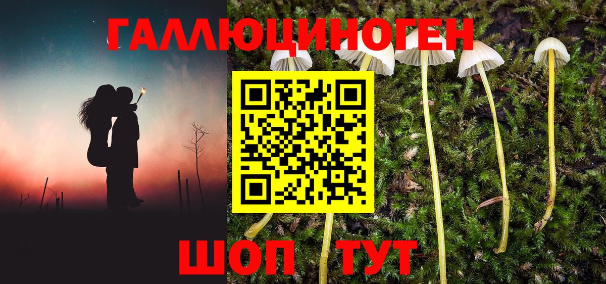 Галлюциногенные грибы Cubensis Пятигорск