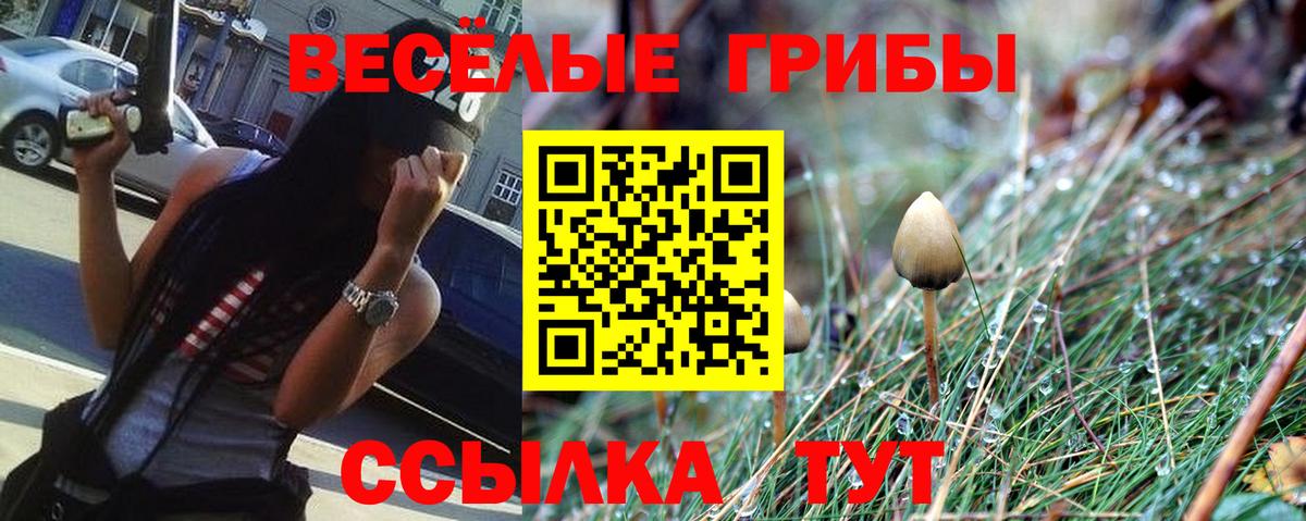 Пятигорск  закладки  Вход с VPN  Псилоцибиновые грибы прущие грибы 